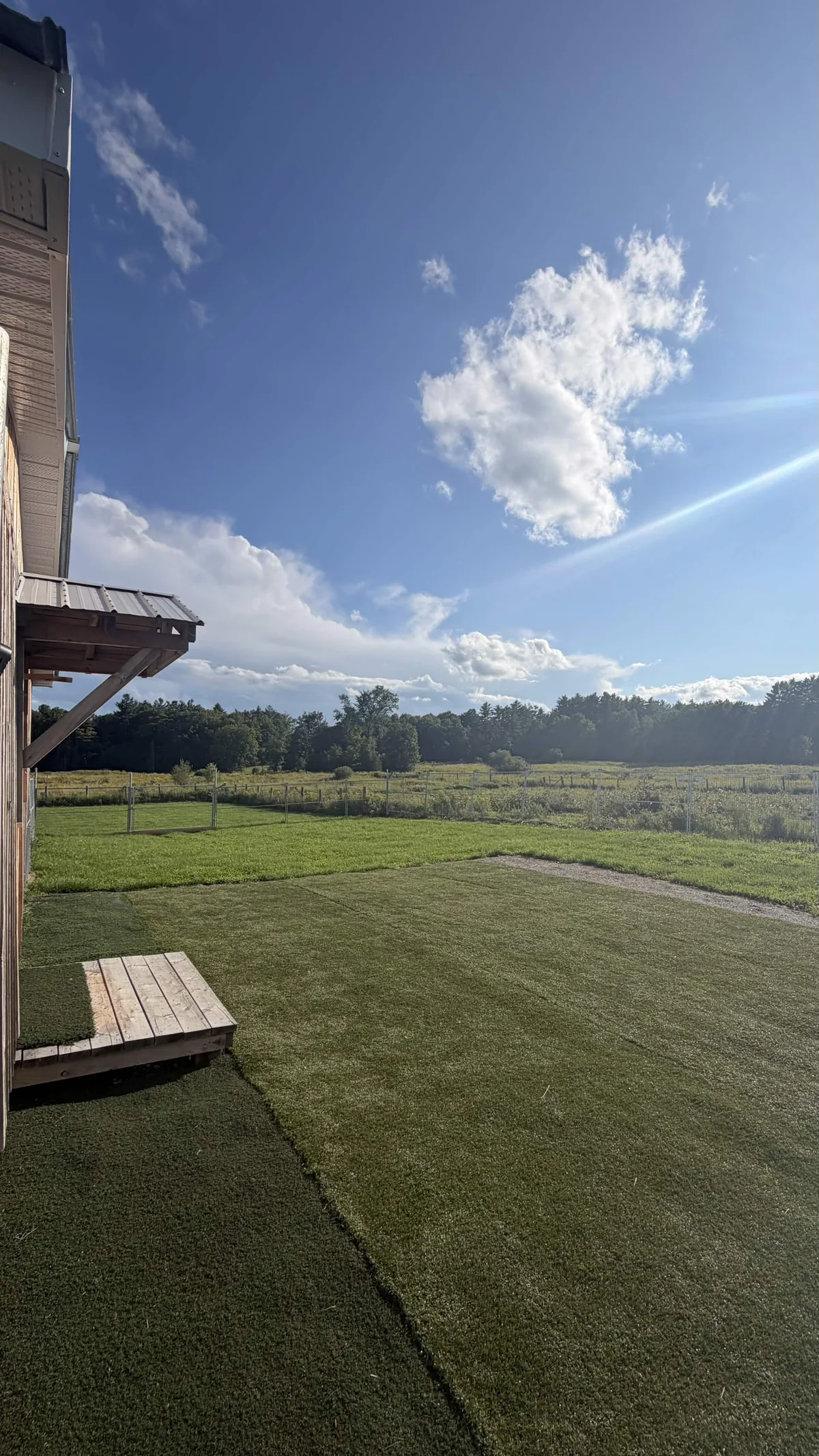 Grand espace extérieur pour les chiens chez Le Luxe Canin
