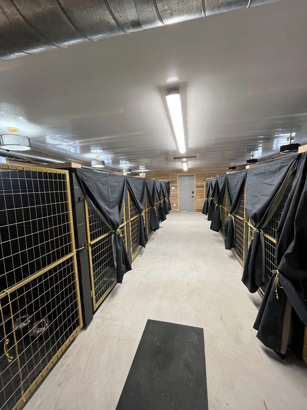 Espace intérieur calme de la pension Le Luxe Canin