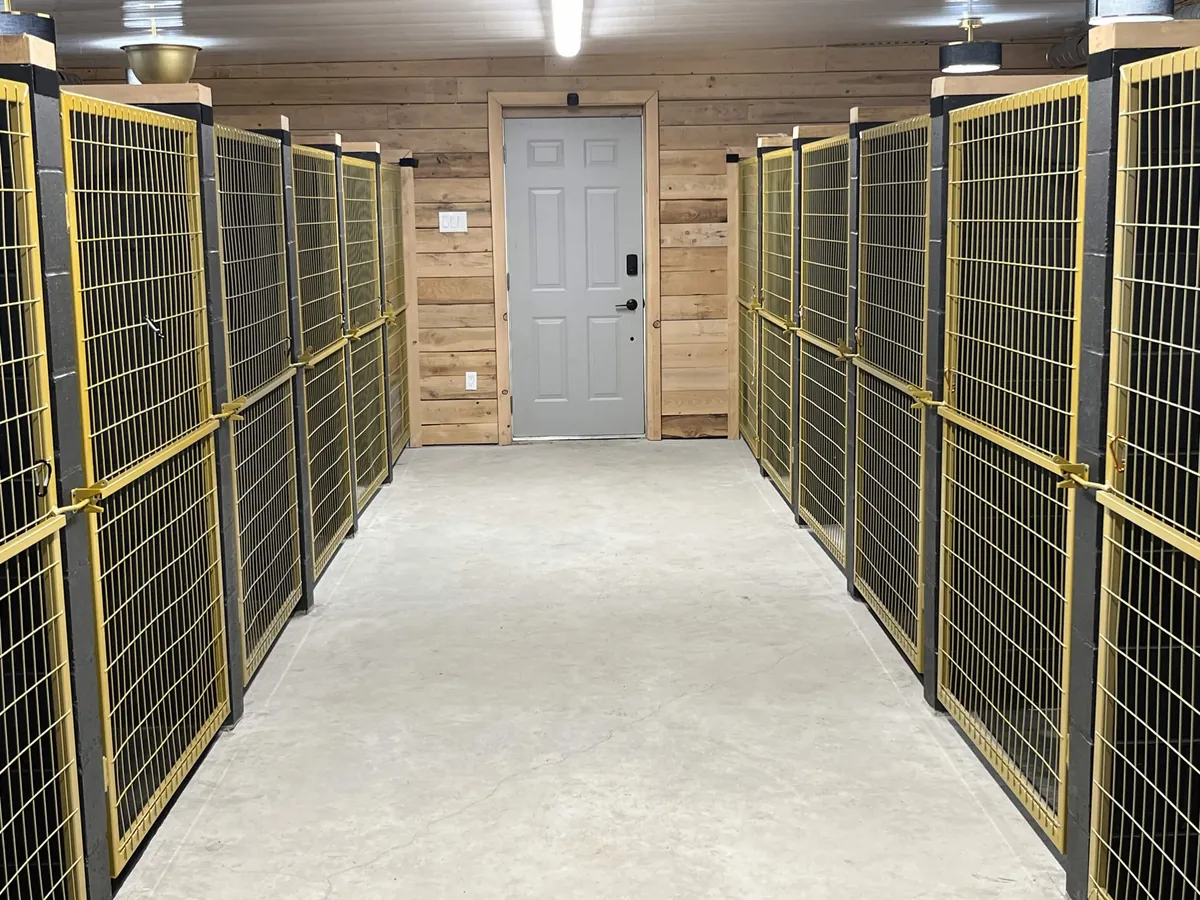 Espace intérieur calme de la pension Le Luxe Canin