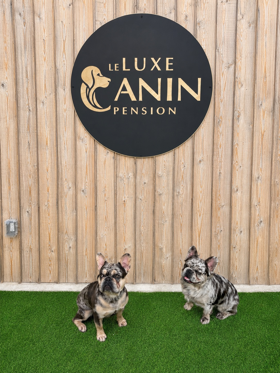 Logo du Luxe Canin