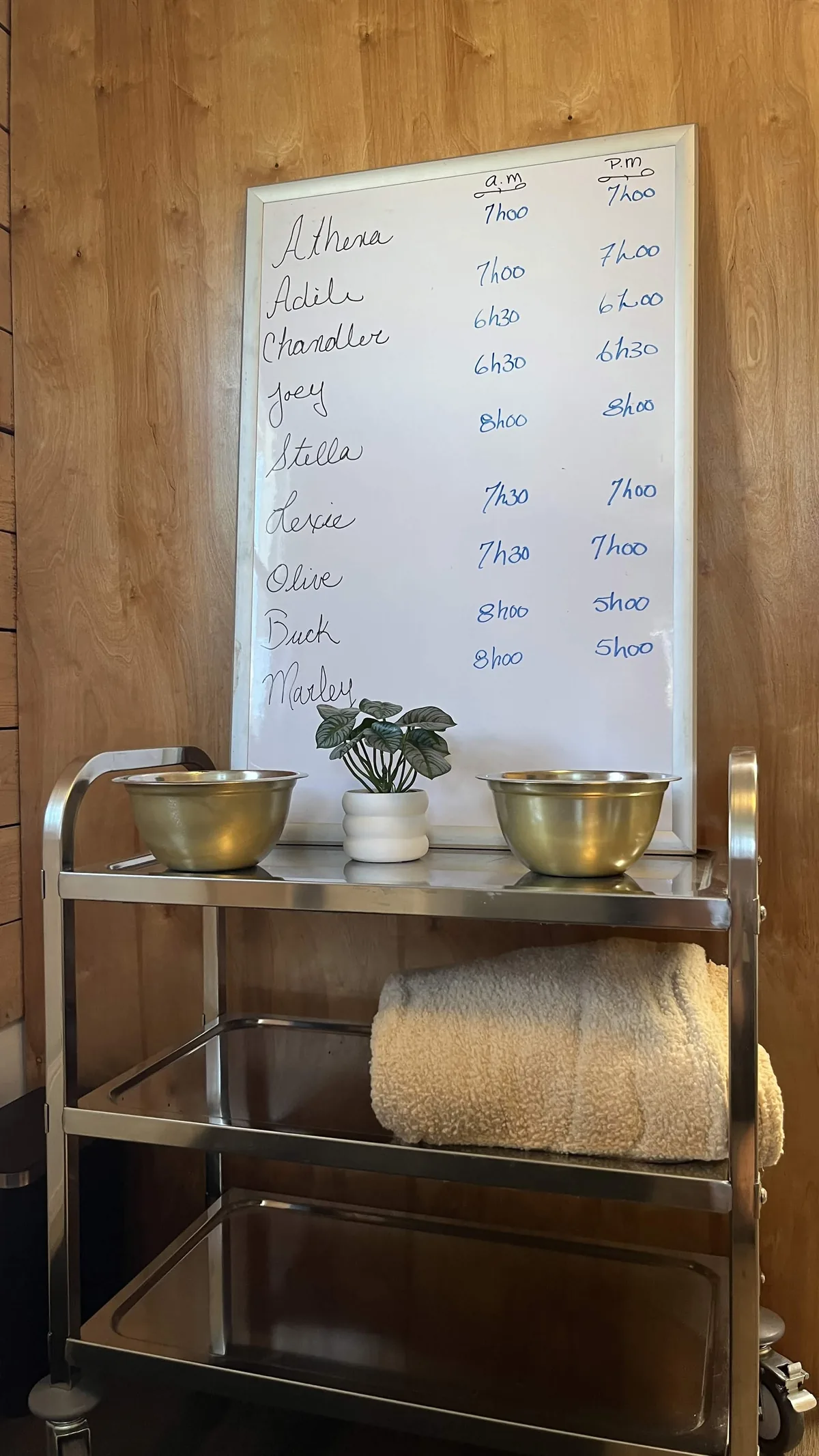 Détail et ambiance de la pension Le Luxe Canin